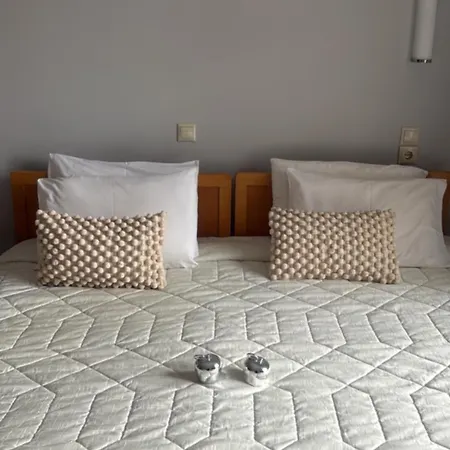 Hotel Rodini