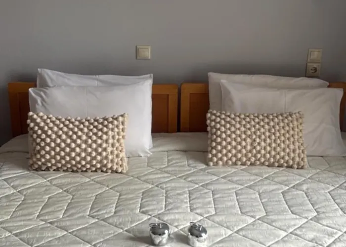 Otel Rodini